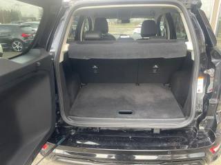 FORD EcoSport usata, con Fendinebbia