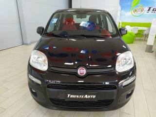 FIAT Panda usata, con Airbag