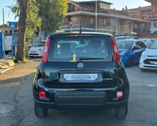 FIAT Panda usata, con Antifurto