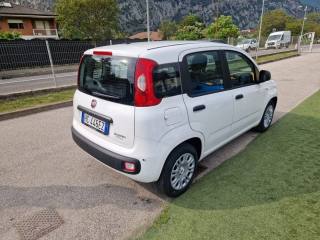 FIAT Pandina usata, con Autoradio
