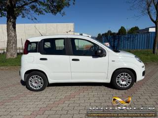FIAT Panda usata, con Chiusura centralizzata