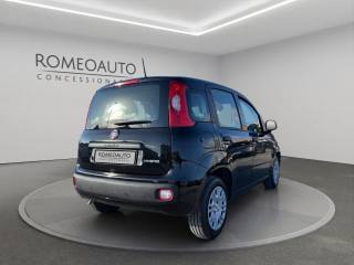 FIAT Panda usata, con Climatizzatore