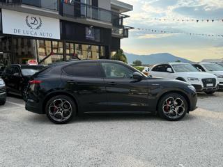ALFA ROMEO Stelvio usata, con Fendinebbia