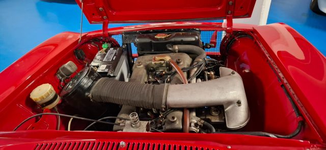 ALFA ROMEO GT usata 19