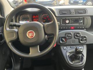 FIAT Panda usata 13