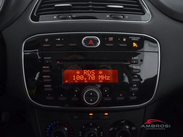 FIAT Punto usata 13
