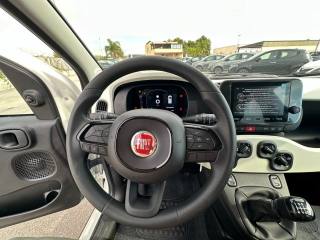FIAT Panda Cross usata, con Sensori di parcheggio posteriori