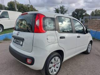 FIAT Panda usata 5
