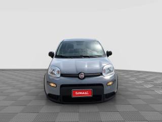 FIAT Panda usata 7