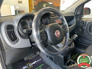 FIAT Panda usata, con Controllo trazione