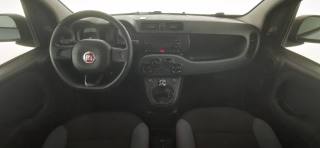 FIAT Panda usata 8