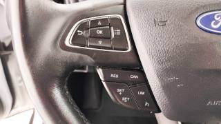 FORD EcoSport usata, con Airbag testa