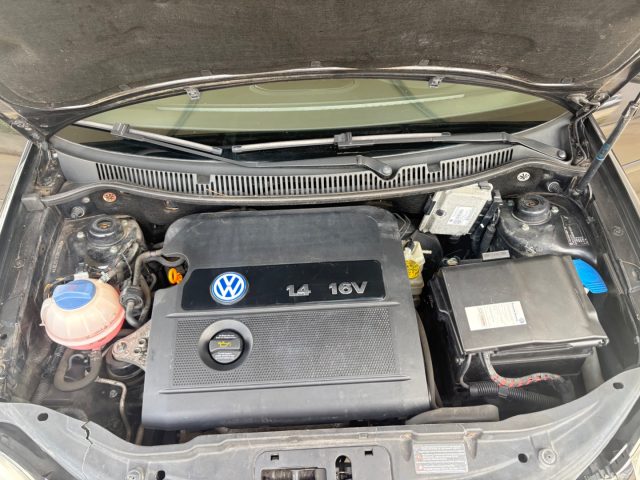 VOLKSWAGEN Polo usata 42
