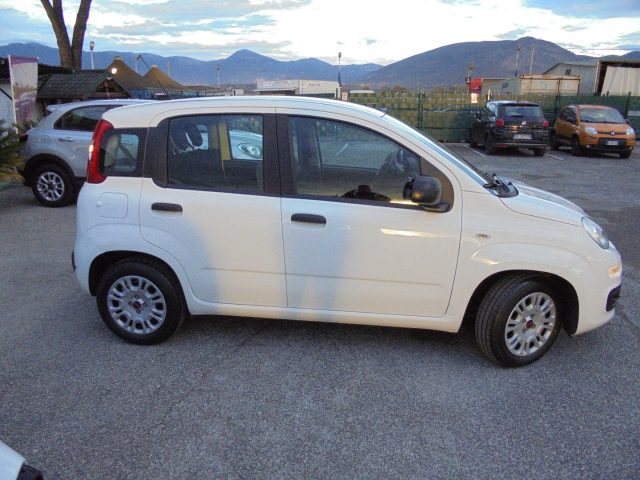 FIAT Panda usata 13