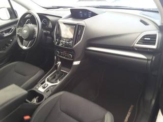 SUBARU Forester usata, con Cruise Control
