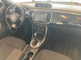 VOLKSWAGEN Maggiolino usata, con Fendinebbia