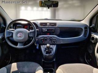 FIAT Panda usata 6