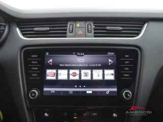 SKODA Octavia usata 13
