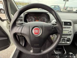 FIAT Punto usata 15