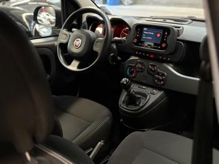 FIAT Panda usata, con ESP