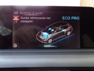 BMW 116 usata, con Fendinebbia