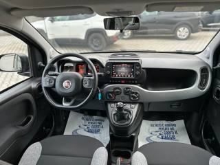FIAT Panda usata, con Volante multifunzione