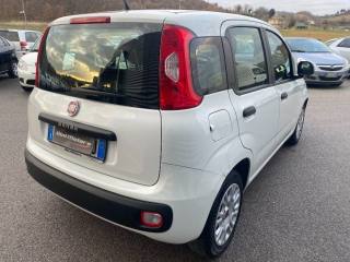 FIAT Panda usata, con Autoradio