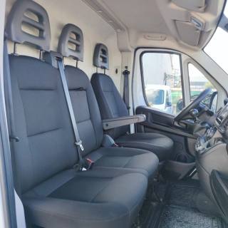 FIAT  usata 10