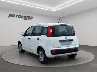 FIAT Panda usata, con ESP