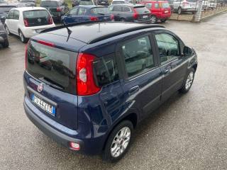 FIAT Panda usata, con Fendinebbia