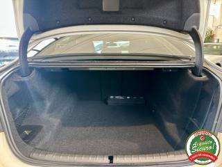 BMW 520 usata, con Controllo vocale