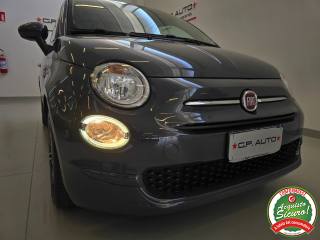 FIAT 500 usata 24