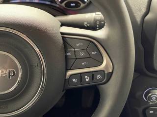 JEEP Renegade usata, con Riconoscimento dei segnali stradali