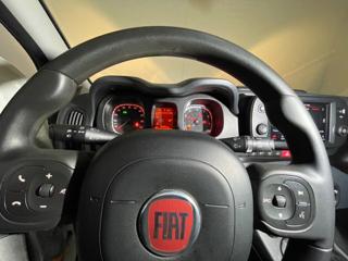 FIAT Panda Cross usata, con ESP