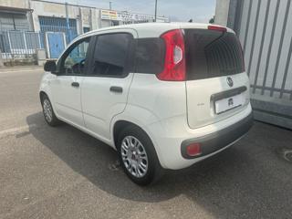 FIAT Panda usata, con Airbag Passeggero