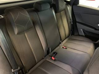 DS AUTOMOBILES DS 7 usata, con Park Distance Control