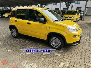 FIAT Panda usata, con Airbag