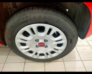 FIAT New Panda usata 14
