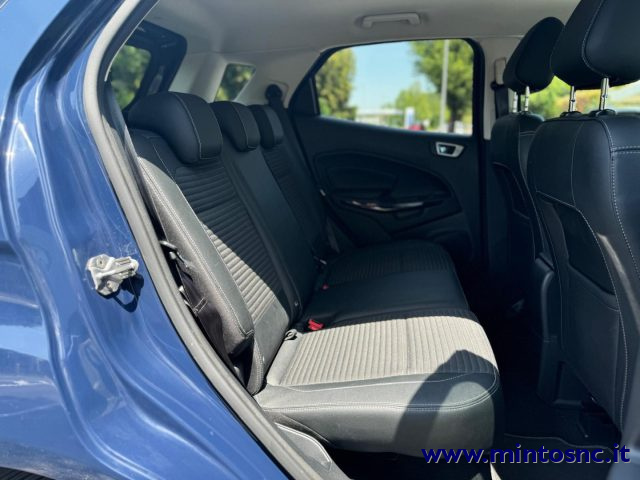 FORD EcoSport usata, con Cronologia tagliandi