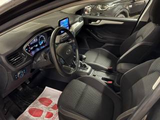 FORD Focus usata, con Cruise Control