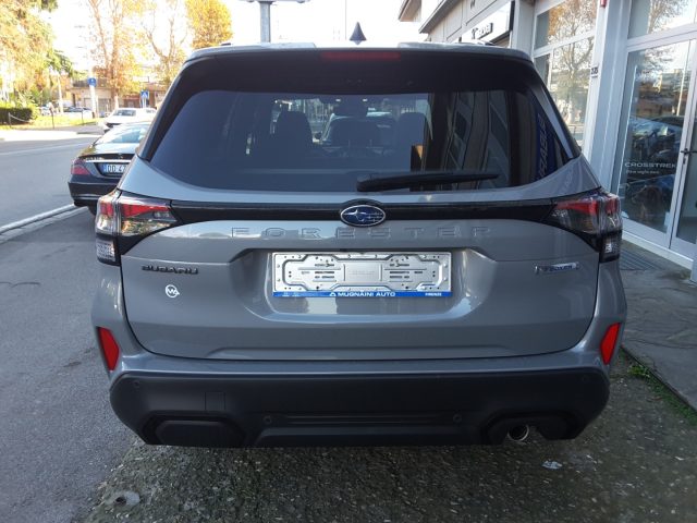 SUBARU Forester usata, con Fendinebbia