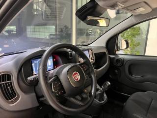 FIAT Panda usata, con Servosterzo