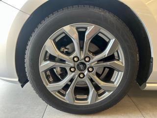 FORD Focus usata, con Cruise Control