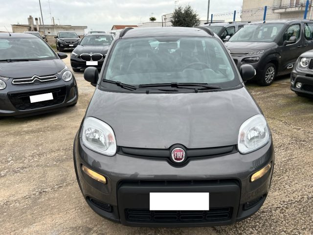 FIAT Panda usata 4