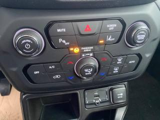 JEEP Renegade usata, con Fendinebbia