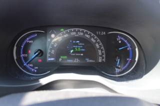 TOYOTA RAV 4 usata, con Fendinebbia