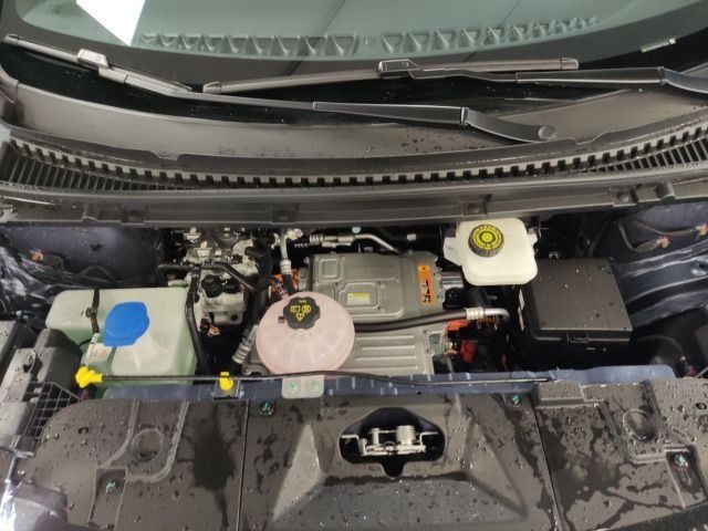 BYD Dolphin usata, con Regolazione elettrica sedili