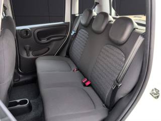 FIAT Panda usata, con Servosterzo