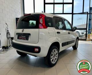 FIAT Panda usata, con Airbag Passeggero