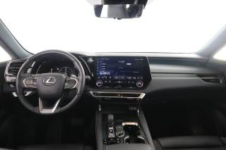LEXUS RX 450h usata 3